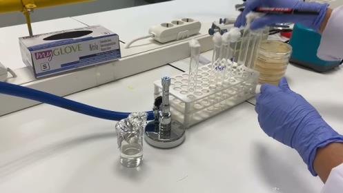 Oksidaz Test Stripleri : Mikrobiyolojide Kullanımı ve Önemi