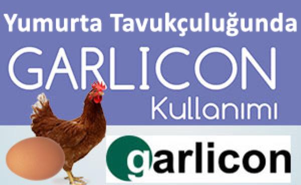 GARLICON - Yumurta Tavukçuluğunda